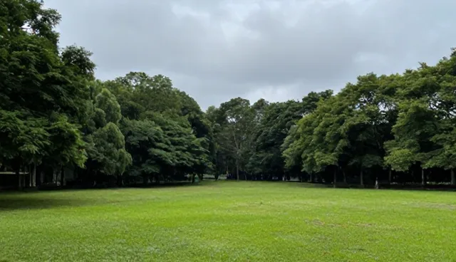 系统集成在业务发展中的适用场景与局限性